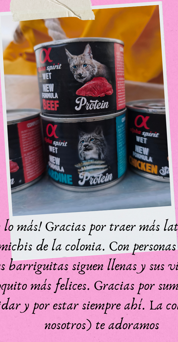 Donación latitas febrero 2026