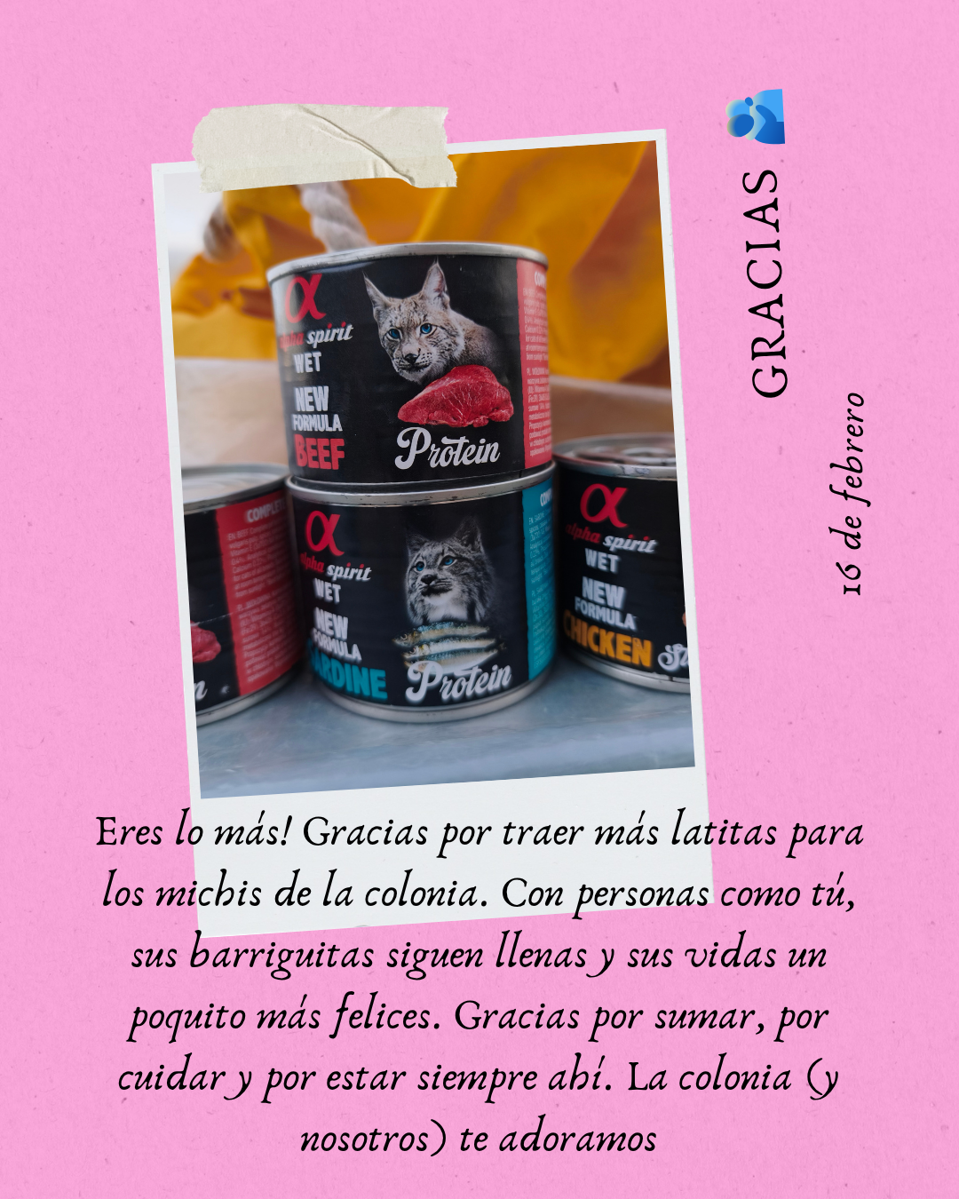 donación latitas febrero 2026