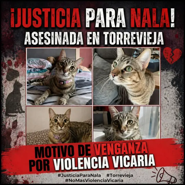 caso-justicia-para-nala-torrevieja