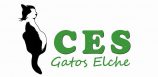 ces-gatos-elche