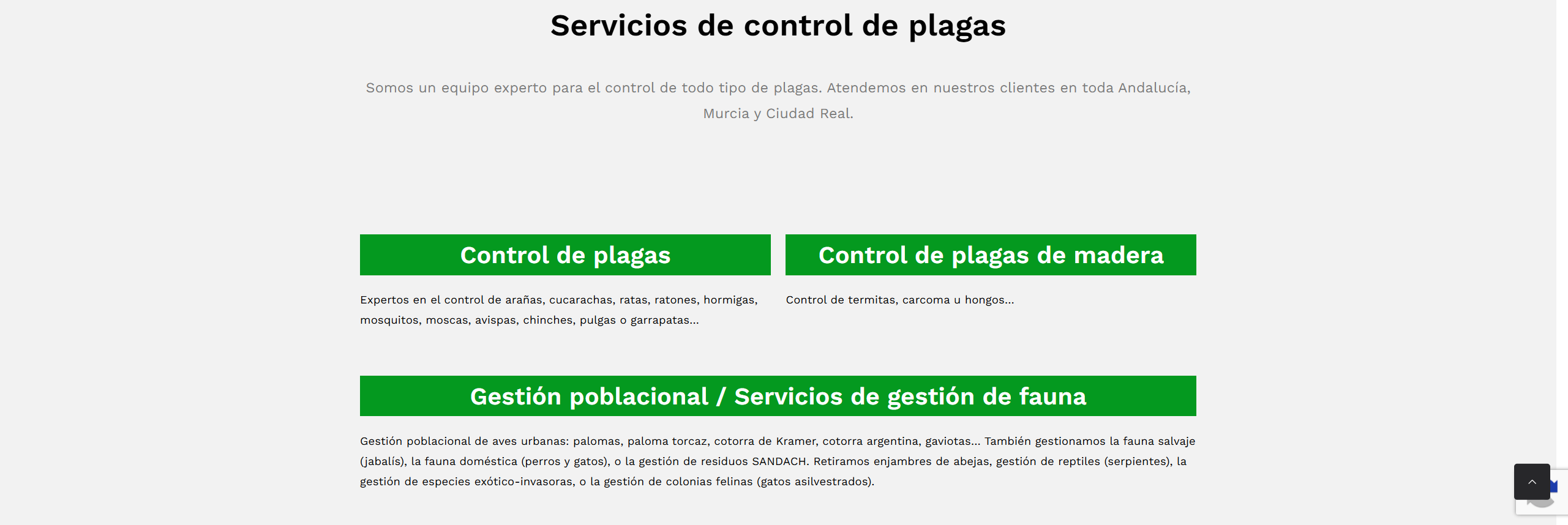 empresa de control de plagas - expertos en la gestión de colonias felinas