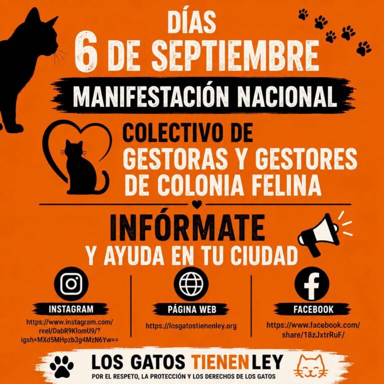 manifestacion-en-espana-apoyo-colonias-felinas-incumplimiento-de-ley-ayuntamientos