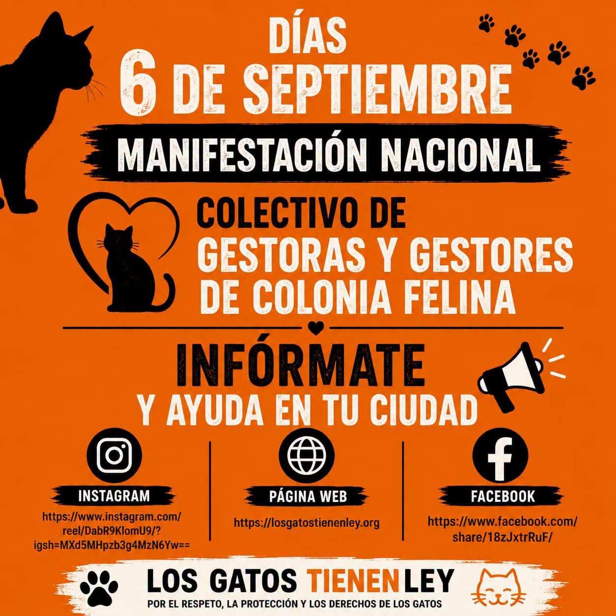 manifestacion-en-espana-apoyo-colonias-felinas-incumplimiento-de-ley-ayuntamientos